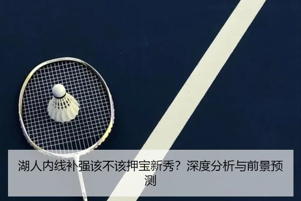湖人内线补强该不该押宝新秀？深度分析与前景预测